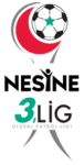 3. Lig - Group 3 logo